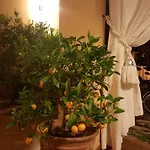 Belsit לינה וארוחת בוקר