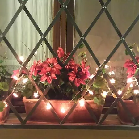 Belsit 3* Porto San Giorgio