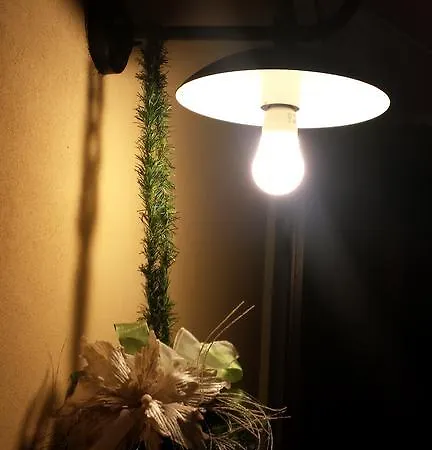 Belsit 3* פורטו סן ג'ורג'יו