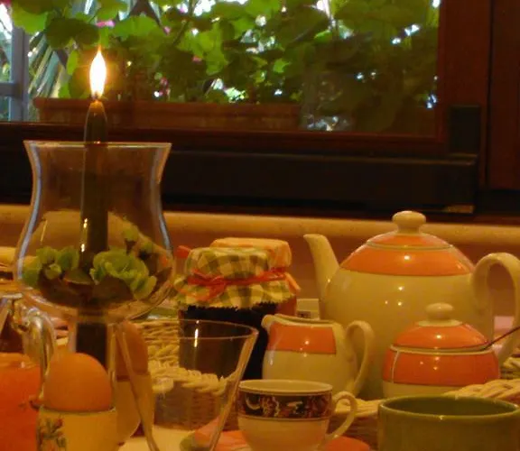 Nocleg ze śniadaniem Belsit